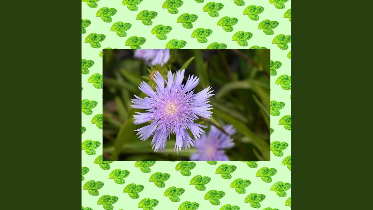 Background for Morning Day Dreams