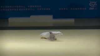 20150802-04 全国青少年艺术体操锦标赛 青年A 香曉穎 紗巾 @滄州