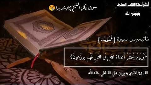 بكاءالشيخ المقرئ يحيى بن علي القباطي في سورة فصلت بكاء شديدا يكاد يسقط من البكاء