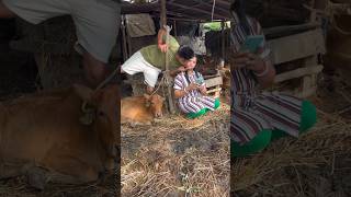 Husband & wife comedy 😍😘 #trending #funny #comedy #shorts