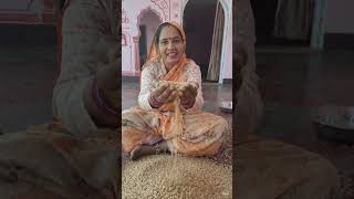 Untitled किसान के चार महीने की मेहनत का फल#villagelife #blogging #shortvideo #viralvideo🚀🚀🚀♥️