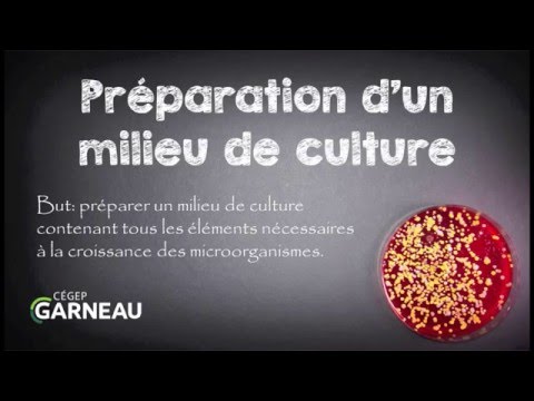 Vidéo: Dépendance Au Taux De Croissance De La Production De Novo De Resvératrol Dans Des Cultures De Chimiostats D'une Souche De Saccharomyces Cerevisiae Modifiée