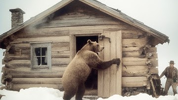 How Mountain Men Designed Cabins to Survive Blizzards, Bears, and Outlaws