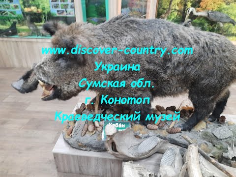 Украина; Сумская обл.; г. Конотоп; Конотопский краеведческий музей