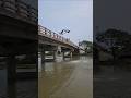 Grandpa jumped from the bridge into the river to catch fish.#amazing_net_fishing