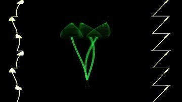 Jerobeam Fenderson - How To Draw Mushrooms On A Oscilloscope (X/Y Oscilloscope/Sidwiz)