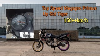Top speed Megapro Primus upgrade standart Tiger