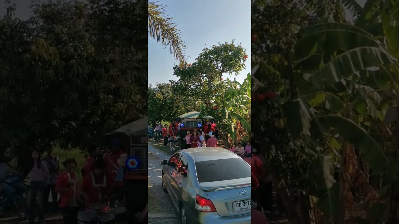 แตรวง​ ขวัญใจ​ดอน​ขาด​สุพรรณบุรี​ งาน​แห่​ขันหมาก​ บ้าน​ท่า​เสด็จ​ อ.เมือง​ สุพรรณบุรี​  1 มี.ค. 69