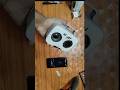 bluetooth kaise banaye ✅how make bluetooth speaker#shorts