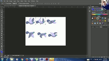 how to learn adobe flash professional CS6