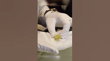 6 000 000 YELLOW DIAMOND Shorts 