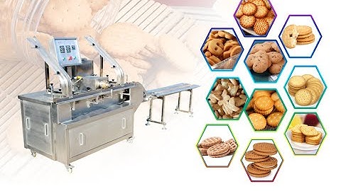 2022 How to make biscuit cookies/biscuit production line/Biscuit process line/whatsapp+8618963065070