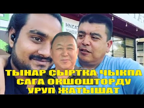 Видео: БОРОНЧУ ТЫНАРДЫ КАТУУ ТАМАШАЛАДЫ/КӨЧӨГӨ ЧЫКПА САГА ОКШОГОНДОРДУ УРУП ЖАТЫШАТ