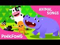 Animal Action | Animal Songs | PINKFONG Songs for Children