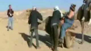 Fat Lady Rides Camel - Not