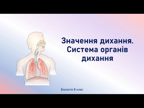 Біологія людини. Значення дихання. Система органів дихання