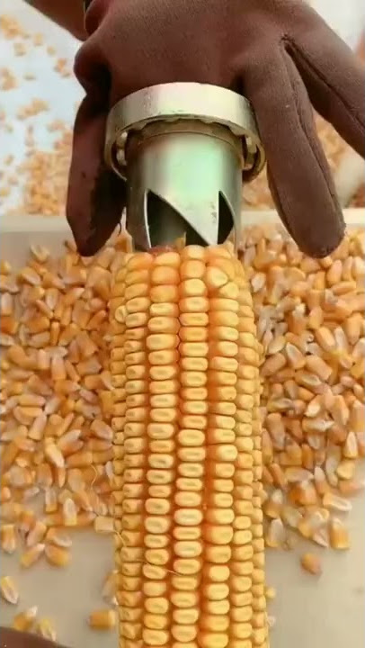 DIY alat perontok jagung#shorts