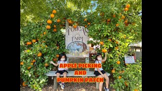 APPLE PICKING / PUMPKIN PATCH | #fall2020 #applepicking