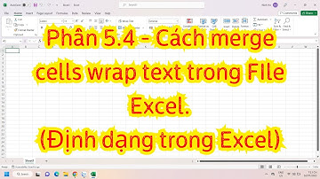 Phần 5.4 - Cách merge cells wrap text trong FIle Excel.(Định dạng trong Excel)