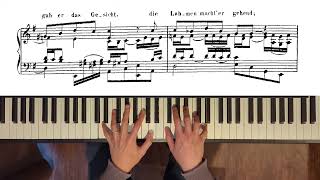 St Matthew Passion: 47-48. Er hat uns allen wohlgetan (piano transcription)