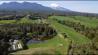 828 Dover Road - For Sale