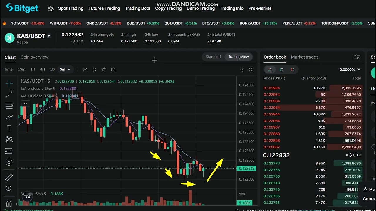 updates  LIVE  Kaspa KAS  Price  prediction - LIVE  Kaspa  KAS   NEWS -  Prom  Kaspa KAS Price Chart