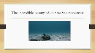 Protecting our Marine Resources 2