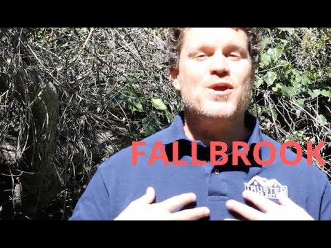 Sell My House Fast Fallbrook | Call (619) 786-0973 | We Buy Houses Fallbrook