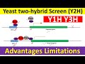 Yeast twohybrid system  yeast twohybrid system for protein protein interaction  y2h assay 