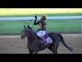 Oaklawn 2018 Stakes Recap Week 1  Fifth Season, Pippin and Smarty Jones