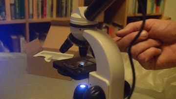 Making microscope slides