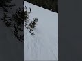 I FLY off a CLIFF while SKIING - Whistler Blackcomb, B.C,