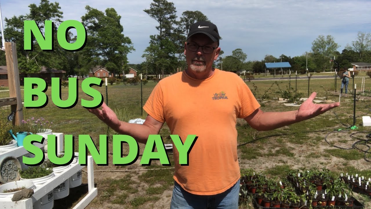 Bus Life Build No Bus Sunday Working Around The Homestead Drip 