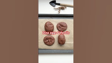 DIY dino eggs and fossils. Made with a play dough recipe 🦖 🦕 #kidsplay #playideas #dinosaurs