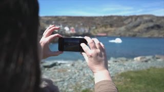New app for iceberg hunting