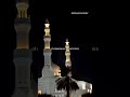 #fypyoutube #islamicvideo #reminder #muslimscholar #viralshorts