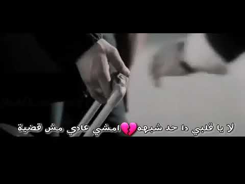 حالات واتس أب حزين تامر حسني لا يا قلبي دا حد شبهه 30ثانية مع الكلمات