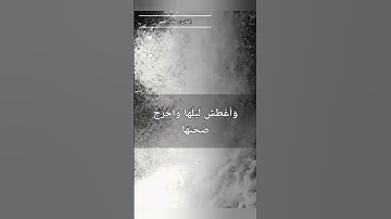 سورة النبأ🥺#حالات_واتس#مقاطع_قصيرة#قرآن_كريم #الشيخ عمار العمر#يوتيوب#fypシ