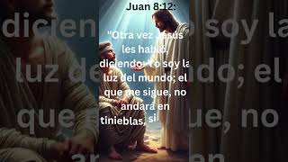 Otra vez Jesús les habló, diciendo Yo soy la luz del mundo; el que me sigue no andará en tiniebla