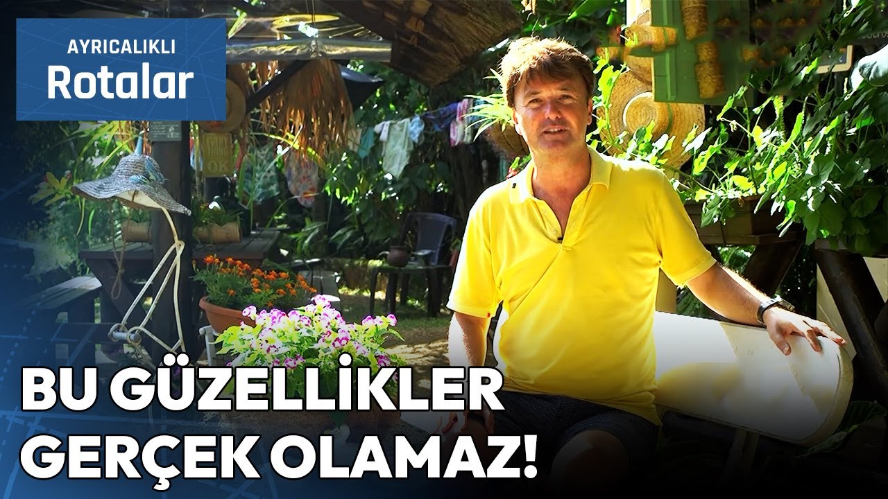 Hint Okyanusu'nun Saklı Cenneti: Mauritius Gezi Rehberi🌴🌞