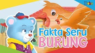 Fakta Menarik Burung - Mengenal Hewan untuk Anak-anak