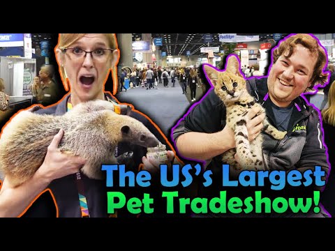 We went to the Global Pet Expo