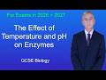 GCSE Biology Revision "Effect of Temperature and pH on Enzymes"
