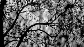 Crying - Daniel Karlsson The Moniker