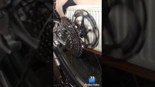 MTb Shimano xtr hub sound vs hope hub4 Sound