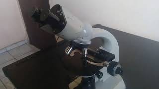 Microscópio Zeiss Standad