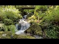 Flowing Stream &amp; Gentle Waterfall Sounds for Sleep &amp; Relaxation | Flowing Water Sounds: White Noise