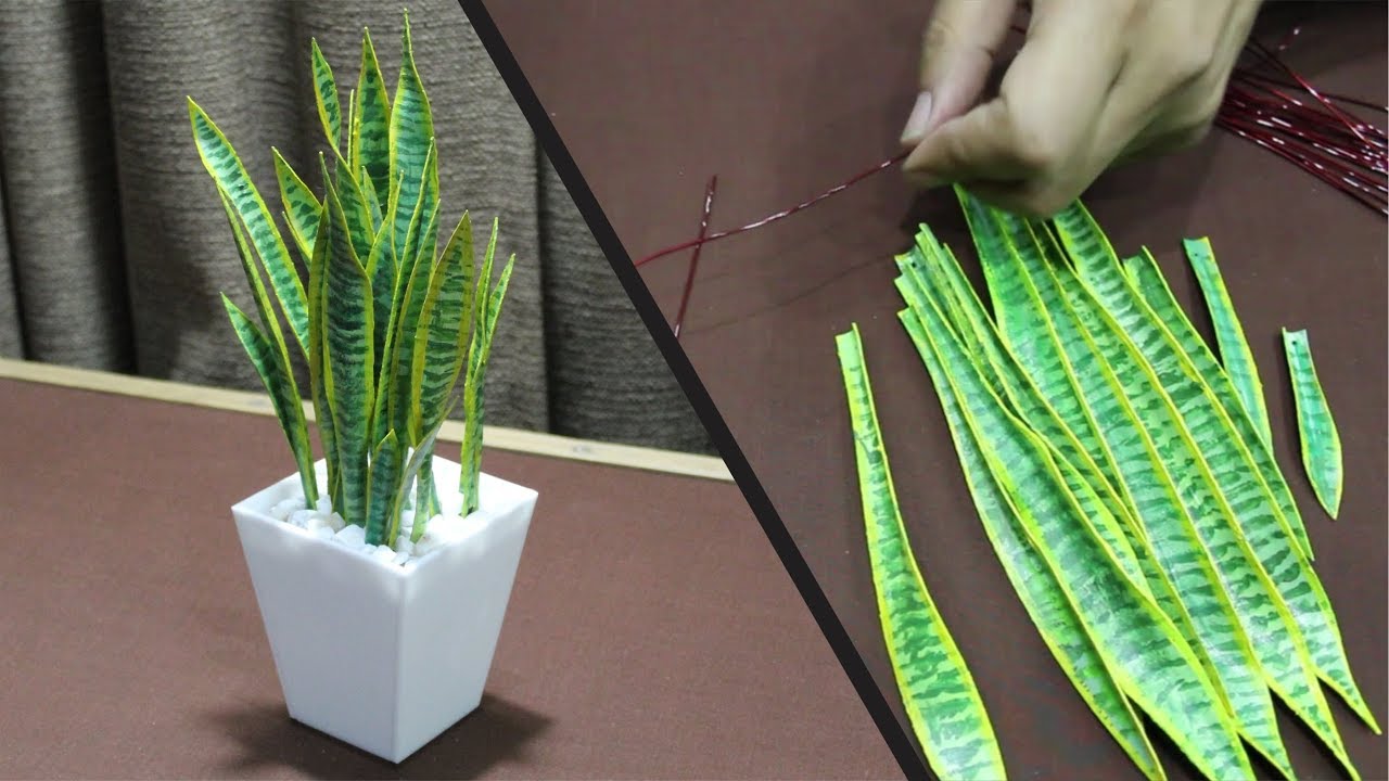 DIY Artificial Snake Plant  How to make Indoor Plant 