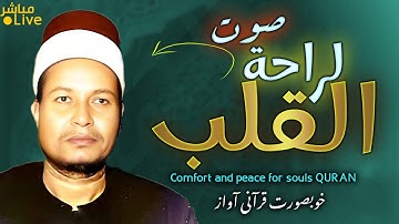أروع ما قد تسمعه أذناك ! 😭 تلاوة نادرة لصوت  صوت ينادي القلوب العليل !!👌 | Wonderful Quranic voice
