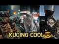 Kumpulan jedag jedug kucing keren cool terbaru 